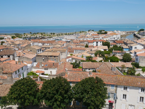 Tatoueur Saint-Martin-d'Hères